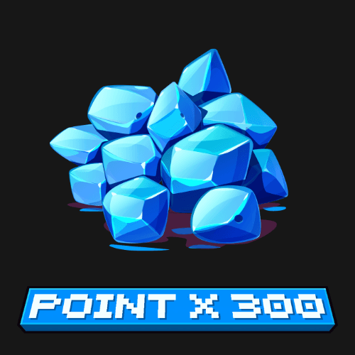 พ้อยต์ x 300